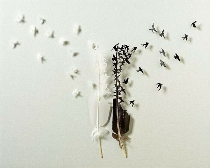 Feathered Fantasies: The Exquisite Avian Artistry Of Chris Maynard (New Pics)