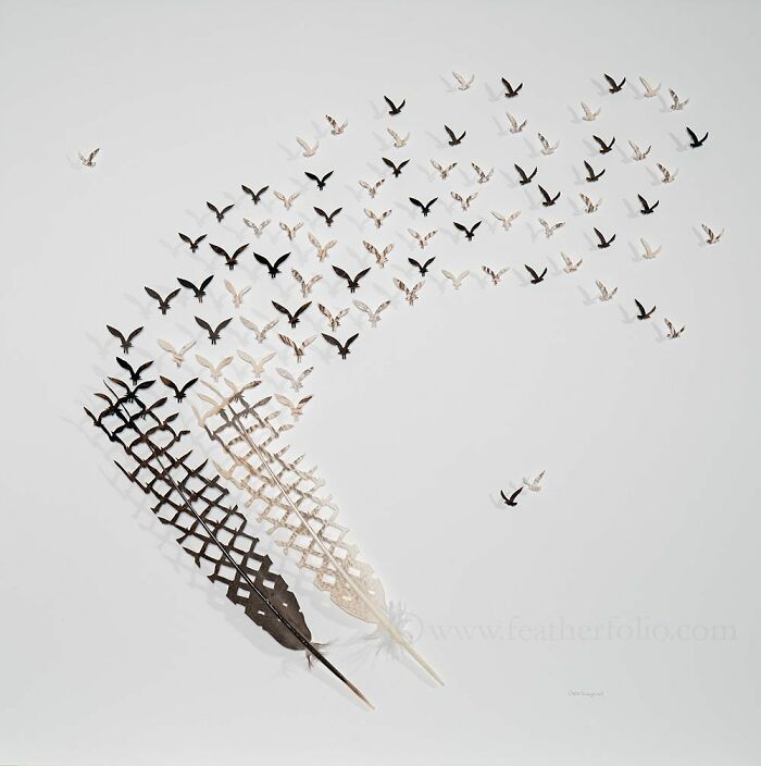 Feathered Fantasies: The Exquisite Avian Artistry Of Chris Maynard (New Pics)