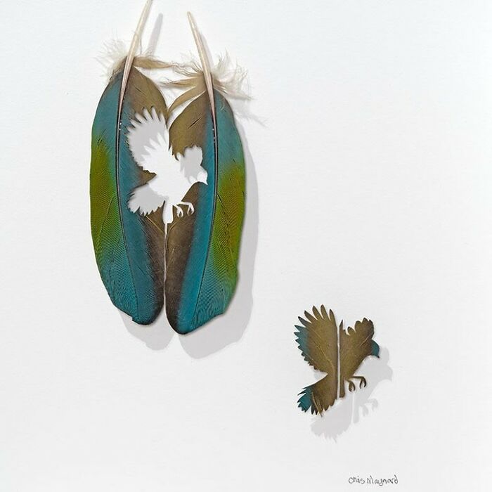 Feathered Fantasies: The Exquisite Avian Artistry Of Chris Maynard (New Pics)