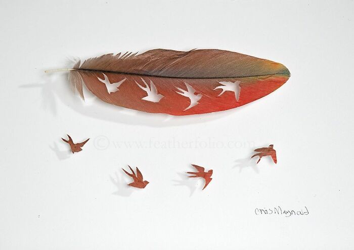 Feathered Fantasies: The Exquisite Avian Artistry Of Chris Maynard (New Pics)