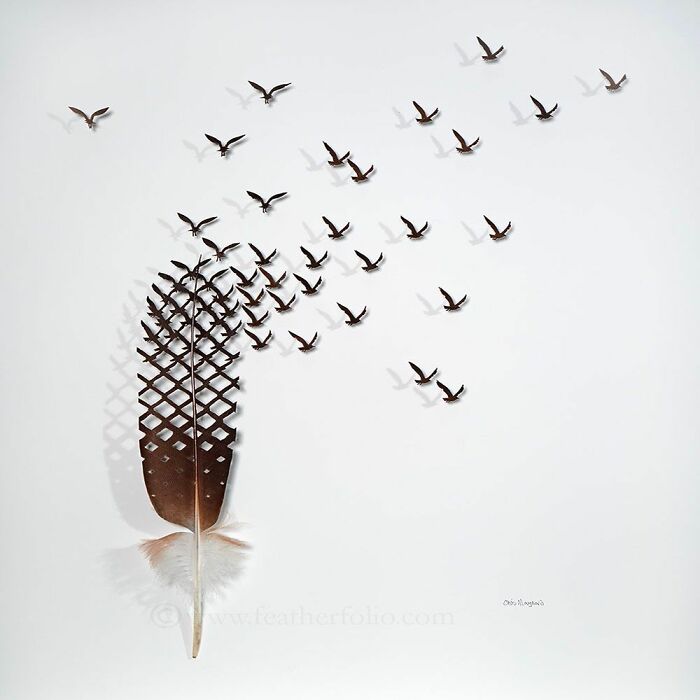 Feathered Fantasies: The Exquisite Avian Artistry Of Chris Maynard (New Pics)