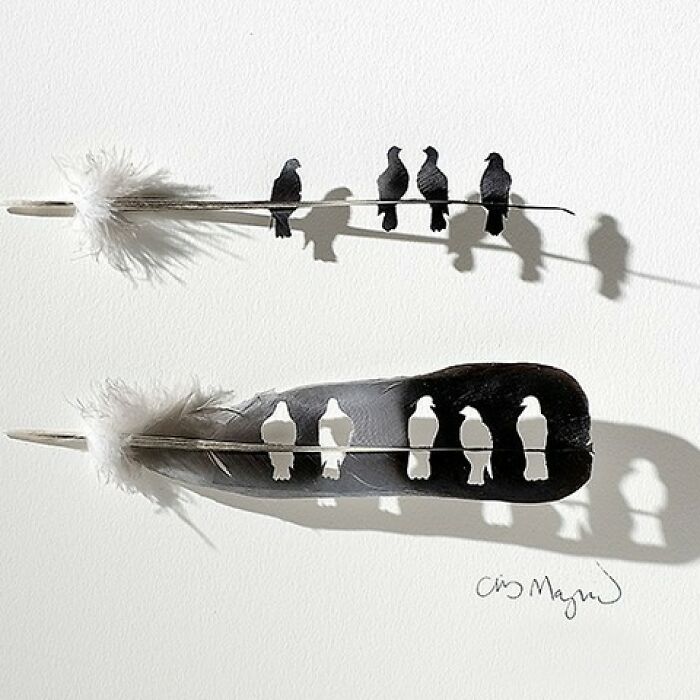 Feathered Fantasies: The Exquisite Avian Artistry Of Chris Maynard (New Pics)