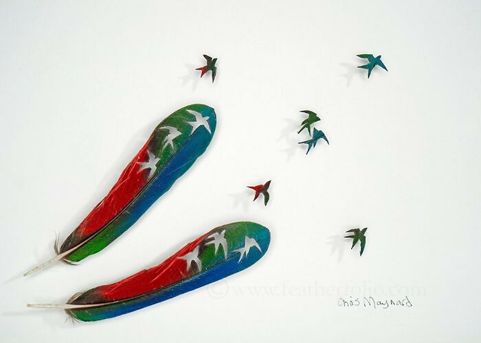 Feathered Fantasies: The Exquisite Avian Artistry Of Chris Maynard (New Pics)