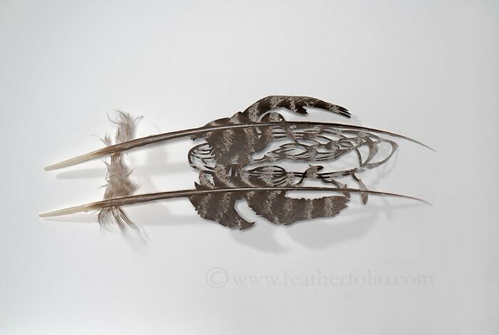 Feathered Fantasies: The Exquisite Avian Artistry Of Chris Maynard (New Pics)