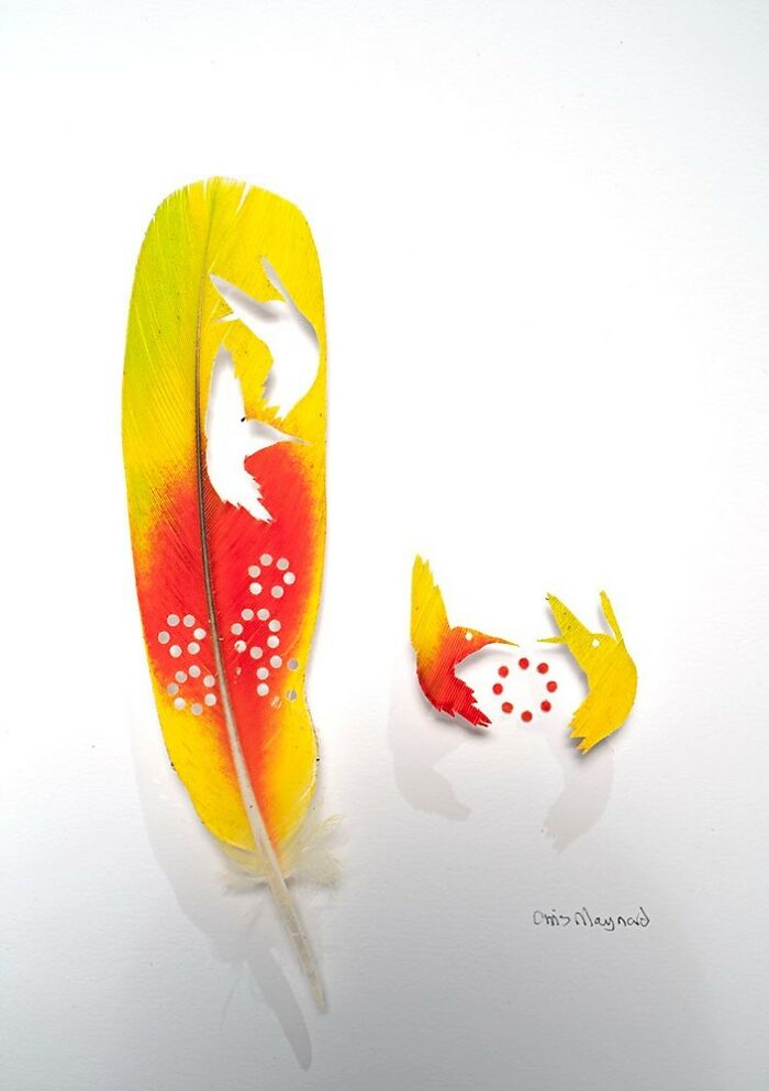 Feathered Fantasies: The Exquisite Avian Artistry Of Chris Maynard (New Pics)