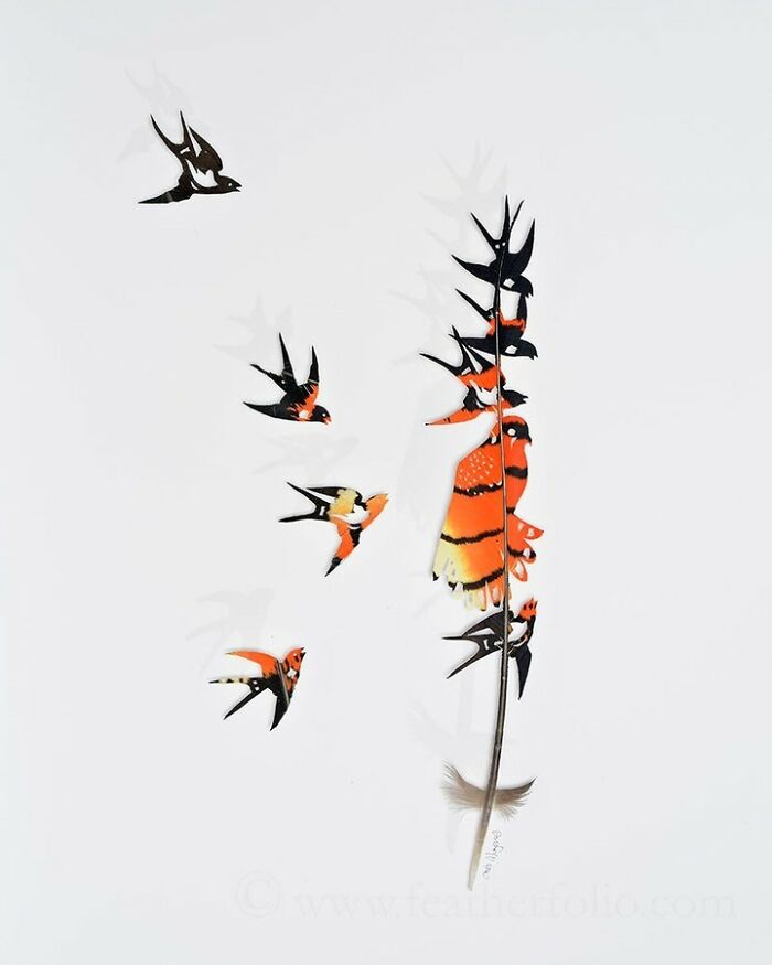 Feathered Fantasies: The Exquisite Avian Artistry Of Chris Maynard (New Pics)