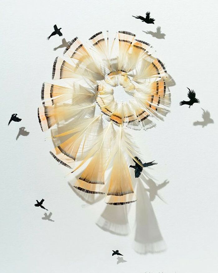 Feathered Fantasies: The Exquisite Avian Artistry Of Chris Maynard (New Pics)