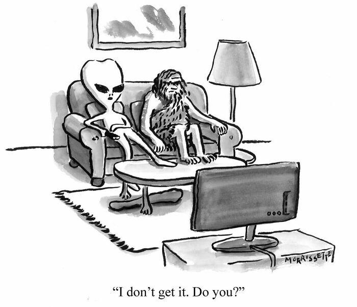 From Hippie Commune To Cartoon Canvas: The Colorful Journey Of Sarah Morrissette