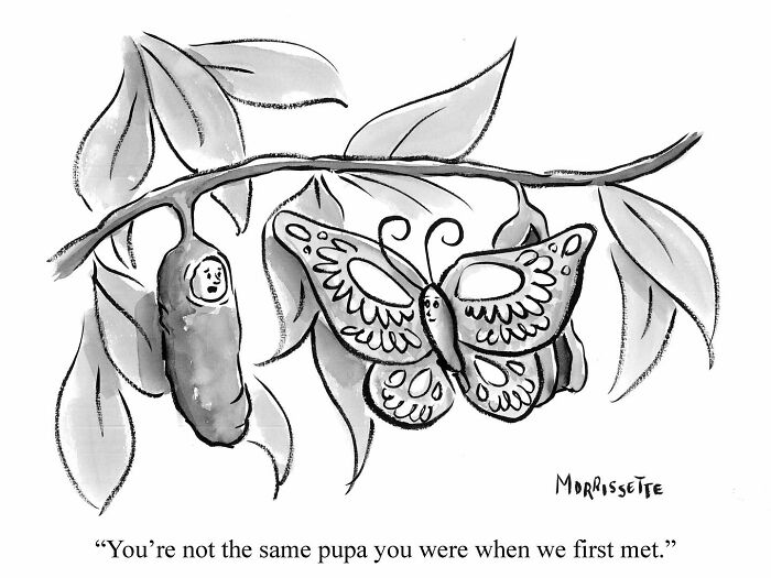 From Hippie Commune To Cartoon Canvas: The Colorful Journey Of Sarah Morrissette