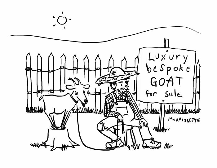 From Hippie Commune To Cartoon Canvas: The Colorful Journey Of Sarah Morrissette