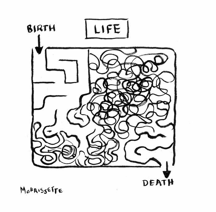 From Hippie Commune To Cartoon Canvas: The Colorful Journey Of Sarah Morrissette