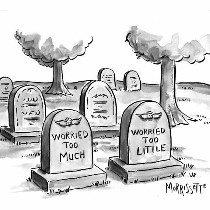 From Hippie Commune To Cartoon Canvas: The Colorful Journey Of Sarah Morrissette