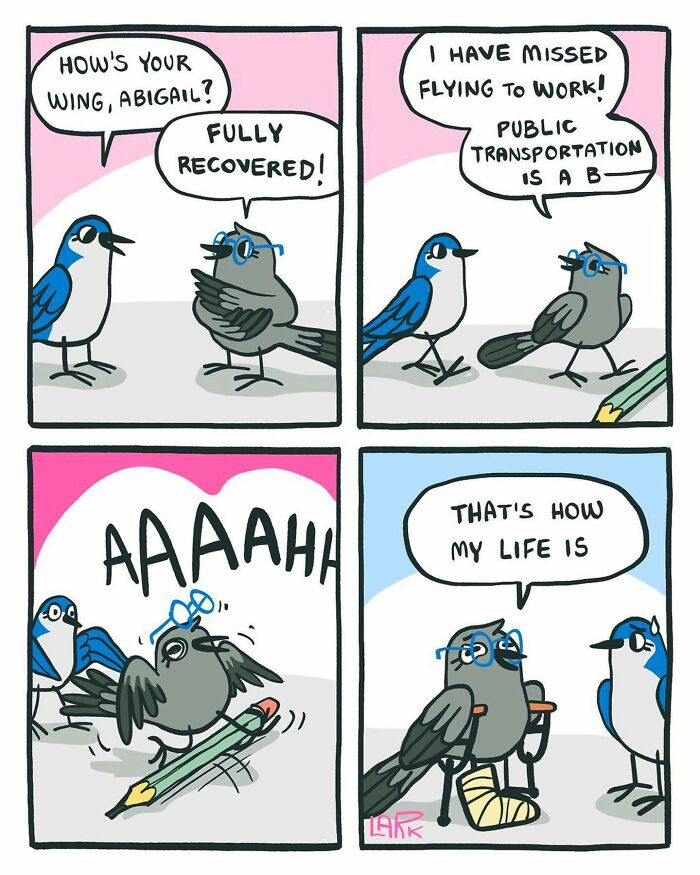 Funny Comics About A Cat Hiring Birds In His Company By This Brazilian Artist (New Pics)