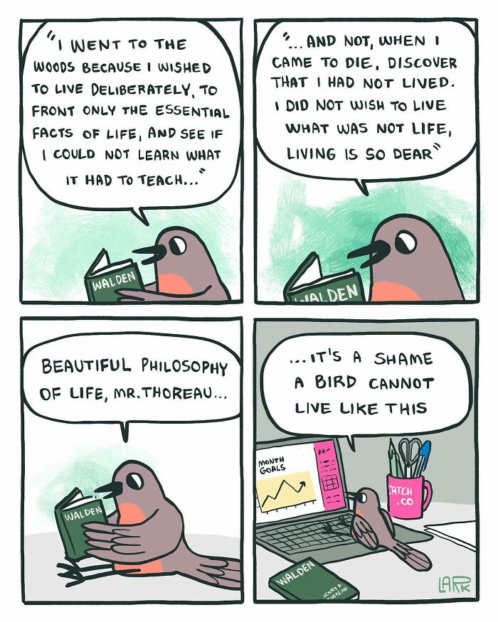 Funny Comics About A Cat Hiring Birds In His Company By This Brazilian Artist (New Pics)