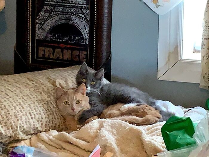 Mind Closing The Door?