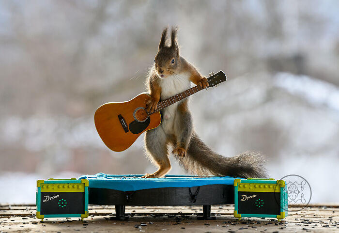 Geert Weggen: From Porch To Photography Studio, Capturing The Charm Of Swedish Wildlife (New Pics)