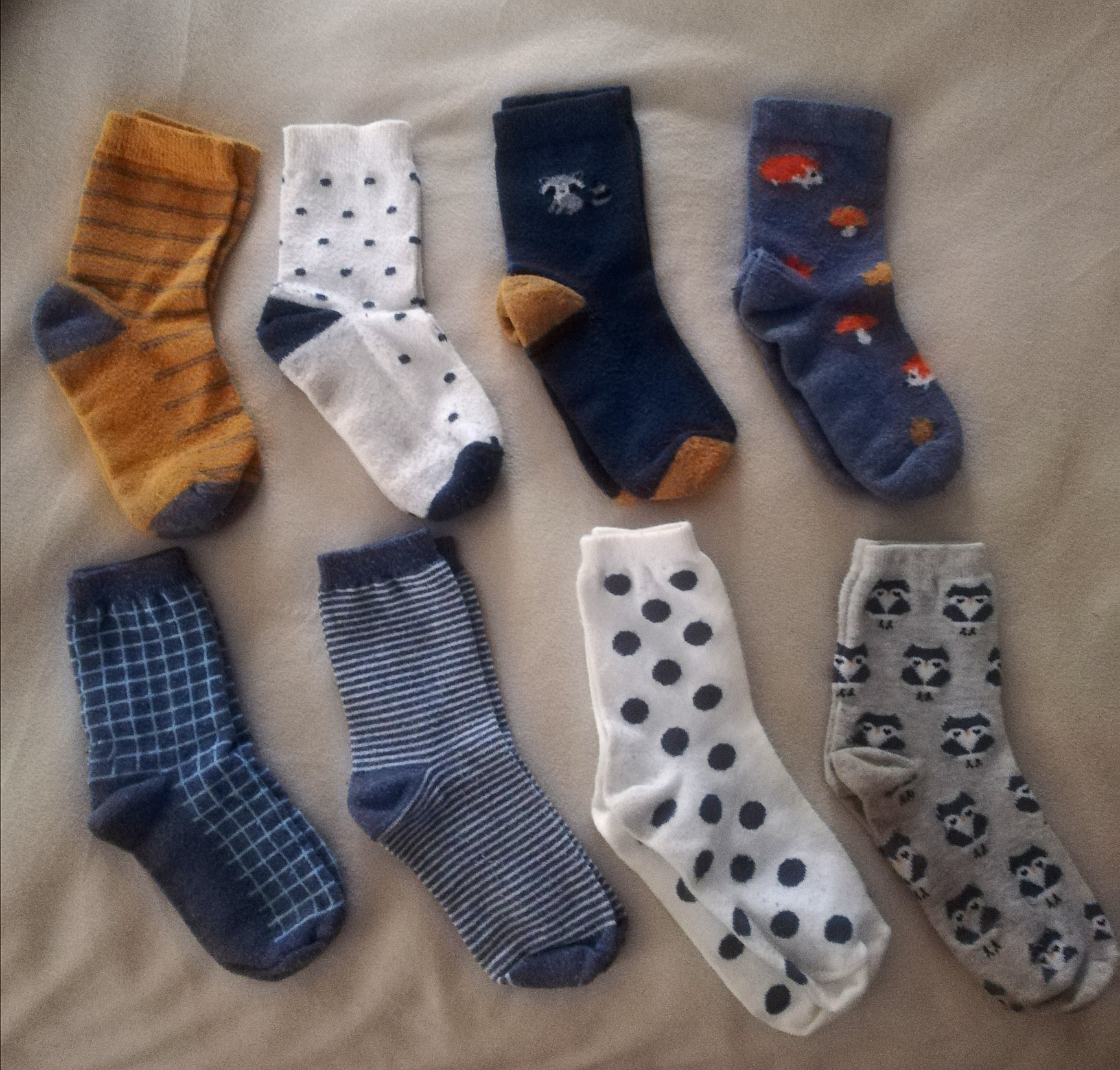 Hey Pandas, Share A Picture Of Your Socks