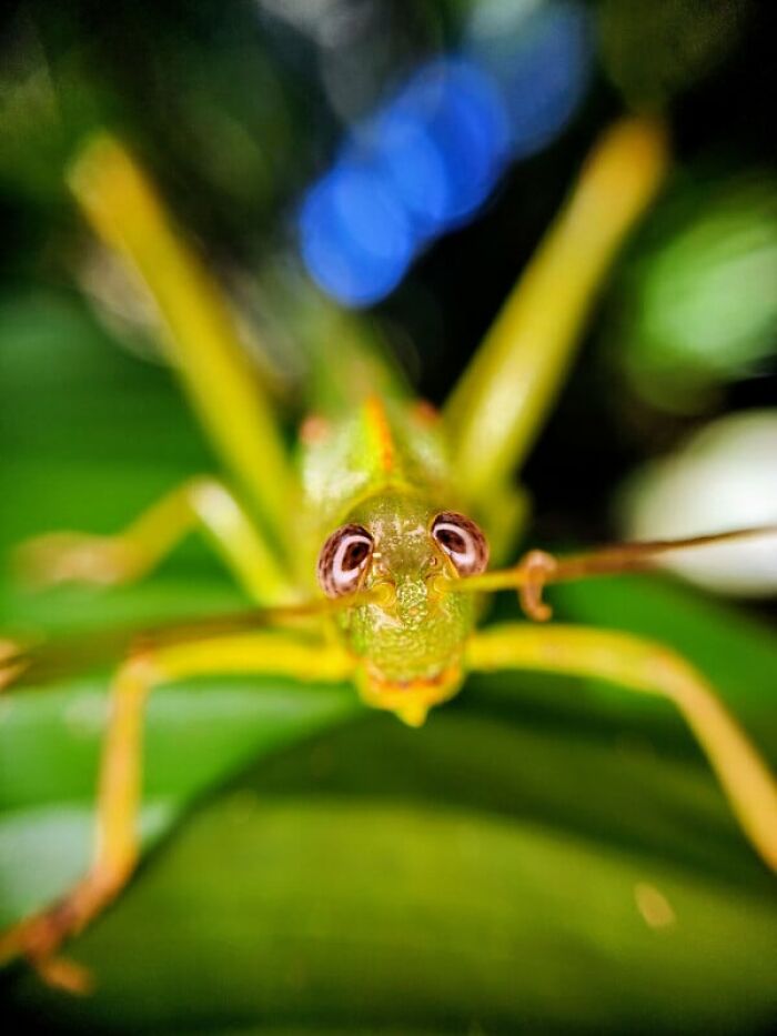 27 Stunning Shots Taken With A Phone Camera By These Winners Of MPA - 12