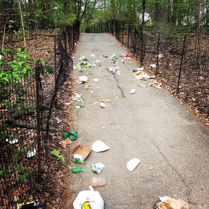 I Produced A Satirical Short Film To Shame Those Who Litter