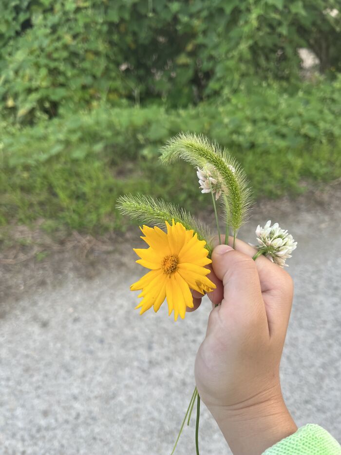 Bunch Of Korean Flowers
