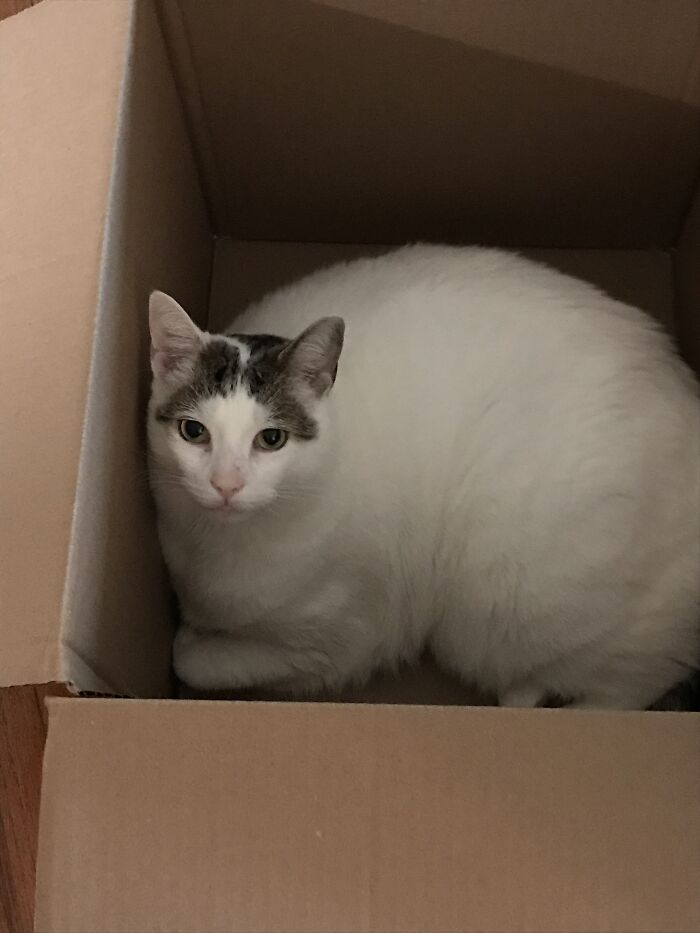 I’m Boxed In And I Couldn’t Be Happier