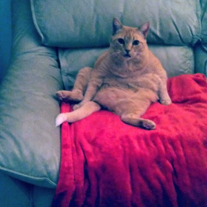 Letting It All Hang Out