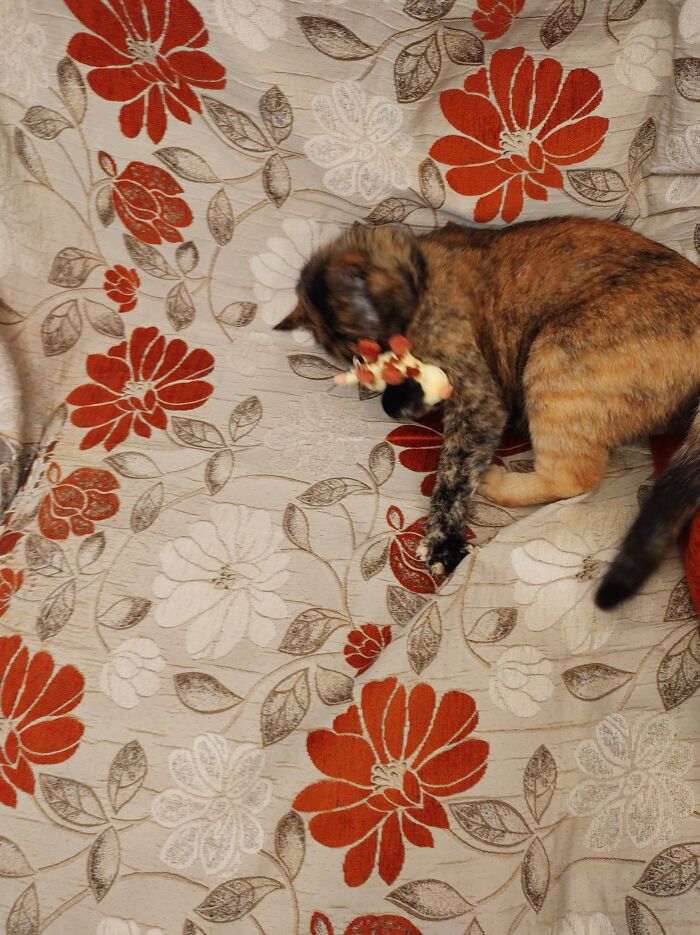 Mundi Loves Playing With Toys