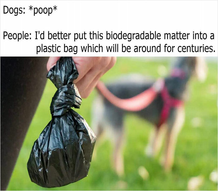 30 Assorted Memes And Comics