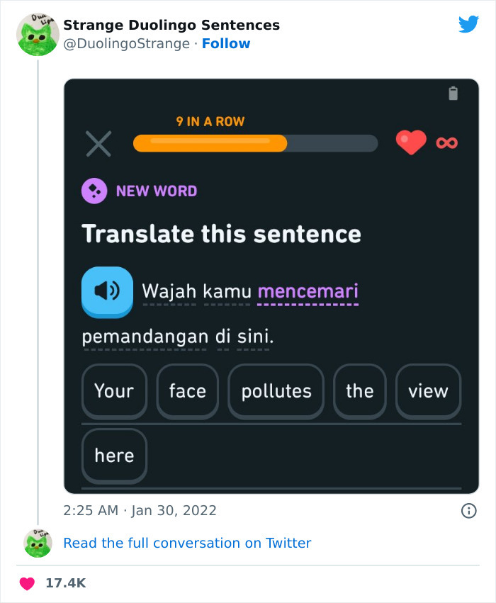 21 Strangest Duolingo Sentences That I Found On This Twitter Page