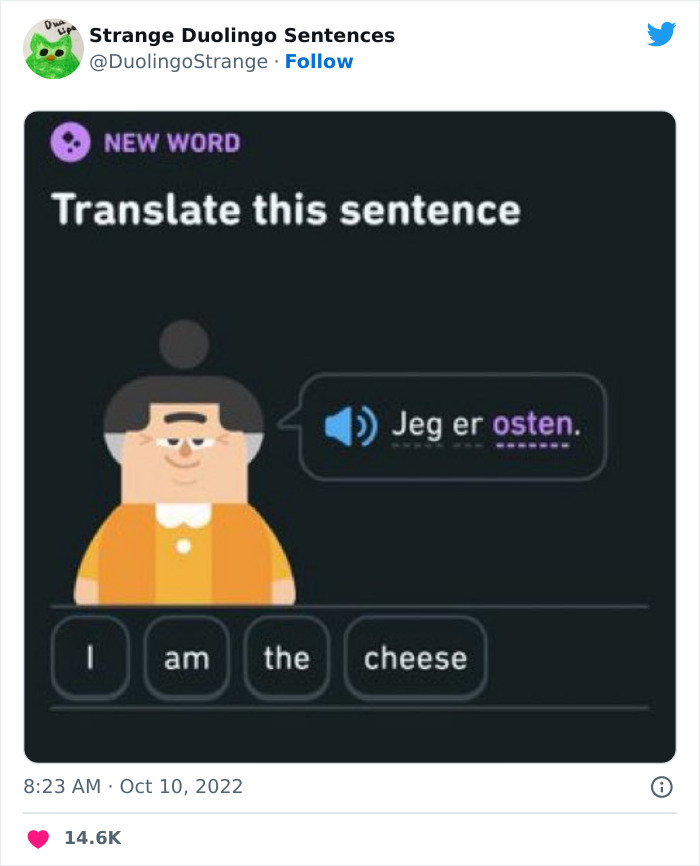 21 Strangest Duolingo Sentences That I Found On This Twitter Page