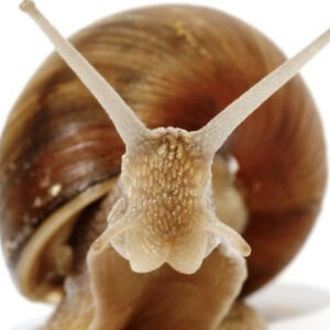 shannon_smith_1 avatar