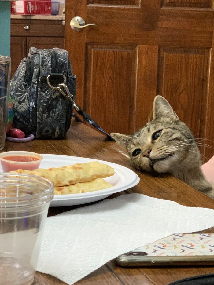 He Wanted The Cheese Sticks