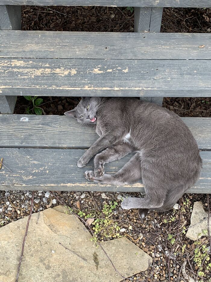 Evan Enjoying The Start Of Spring