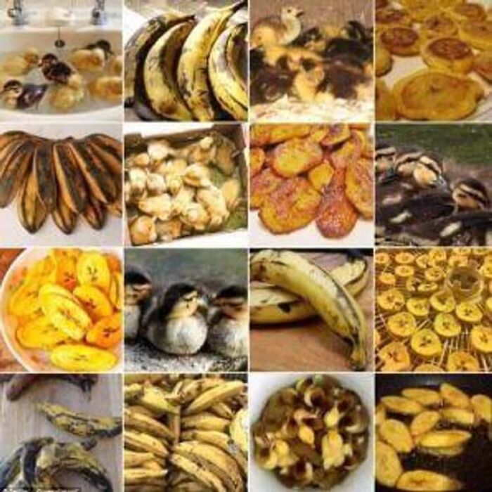 Funny Pictures Comparing Animals To Food