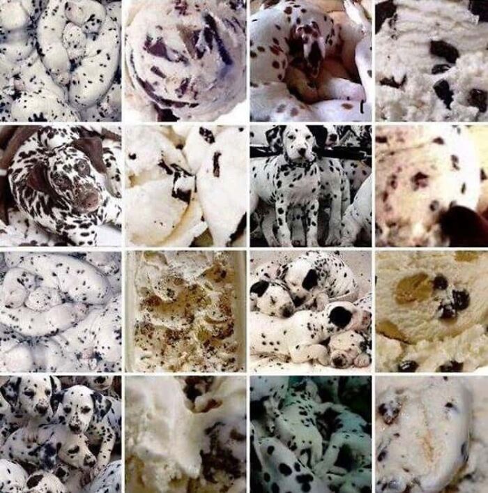 Funny Pictures Comparing Animals To Food