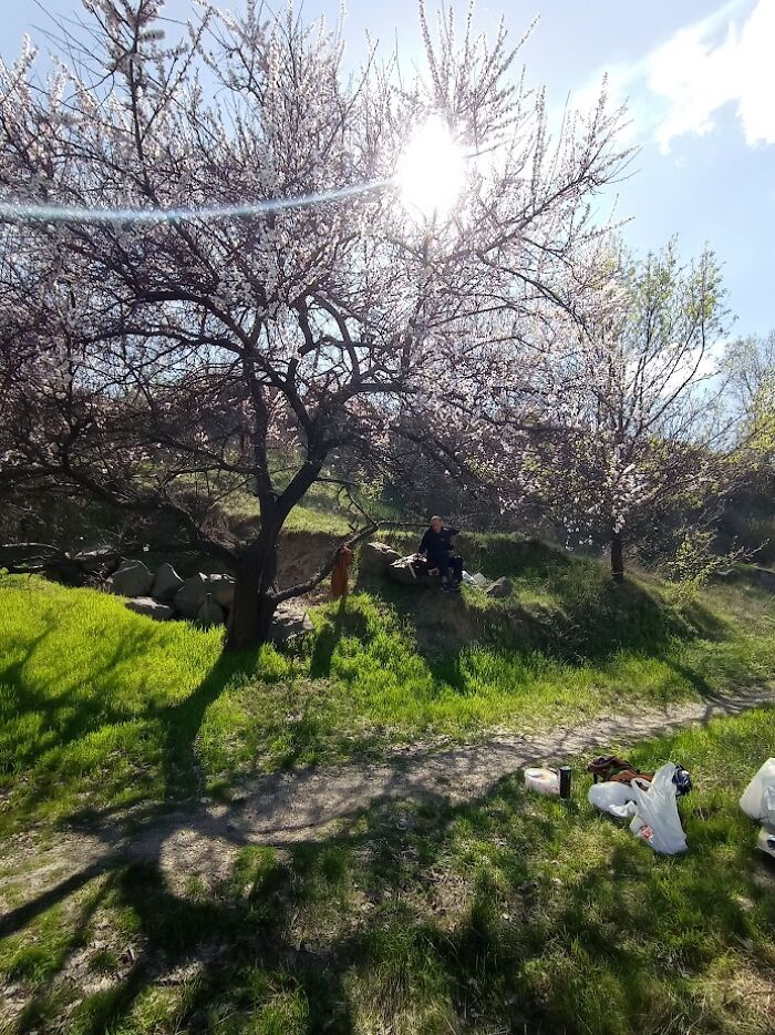 I'm Back At The Art Plenary (15 Pics)