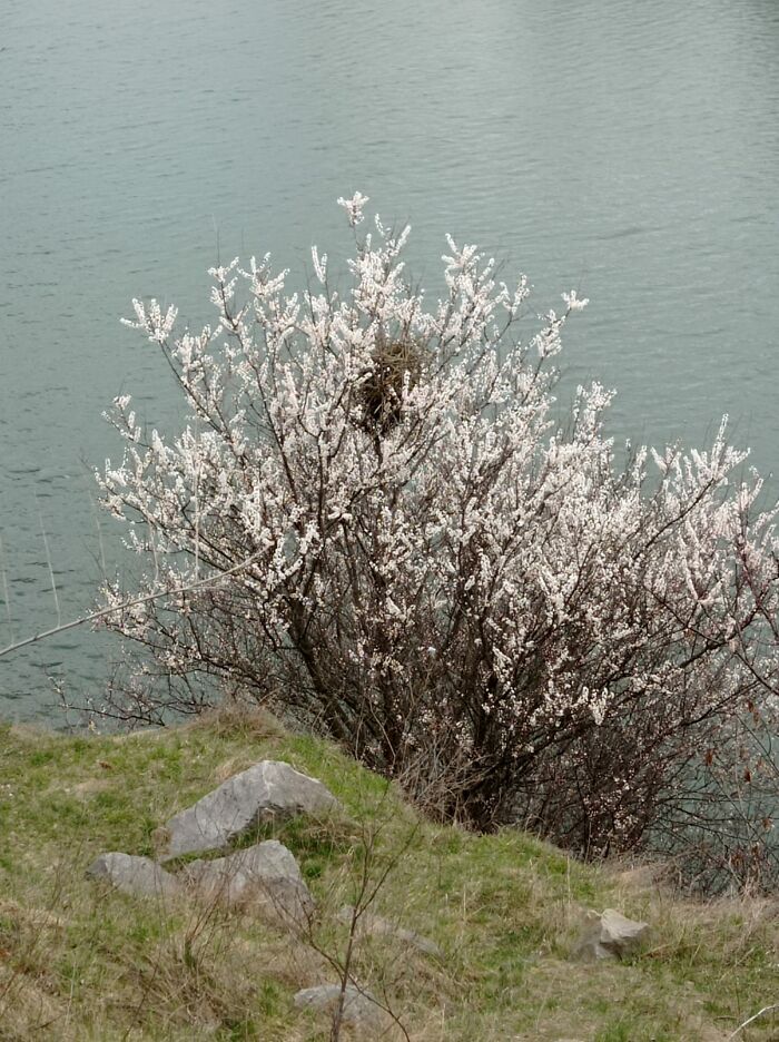 I'm Back At The Art Plenary (15 Pics)