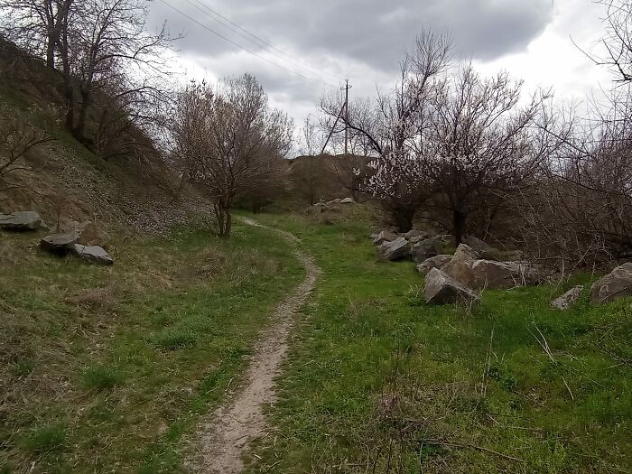 I'm Back At The Art Plenary (15 Pics)