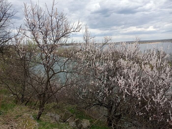 I'm Back At The Art Plenary (15 Pics)