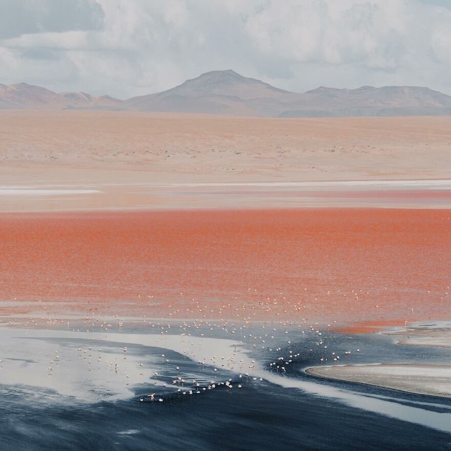 Into The Wild With Daniel Ernst: Capturing Nature's Majesty