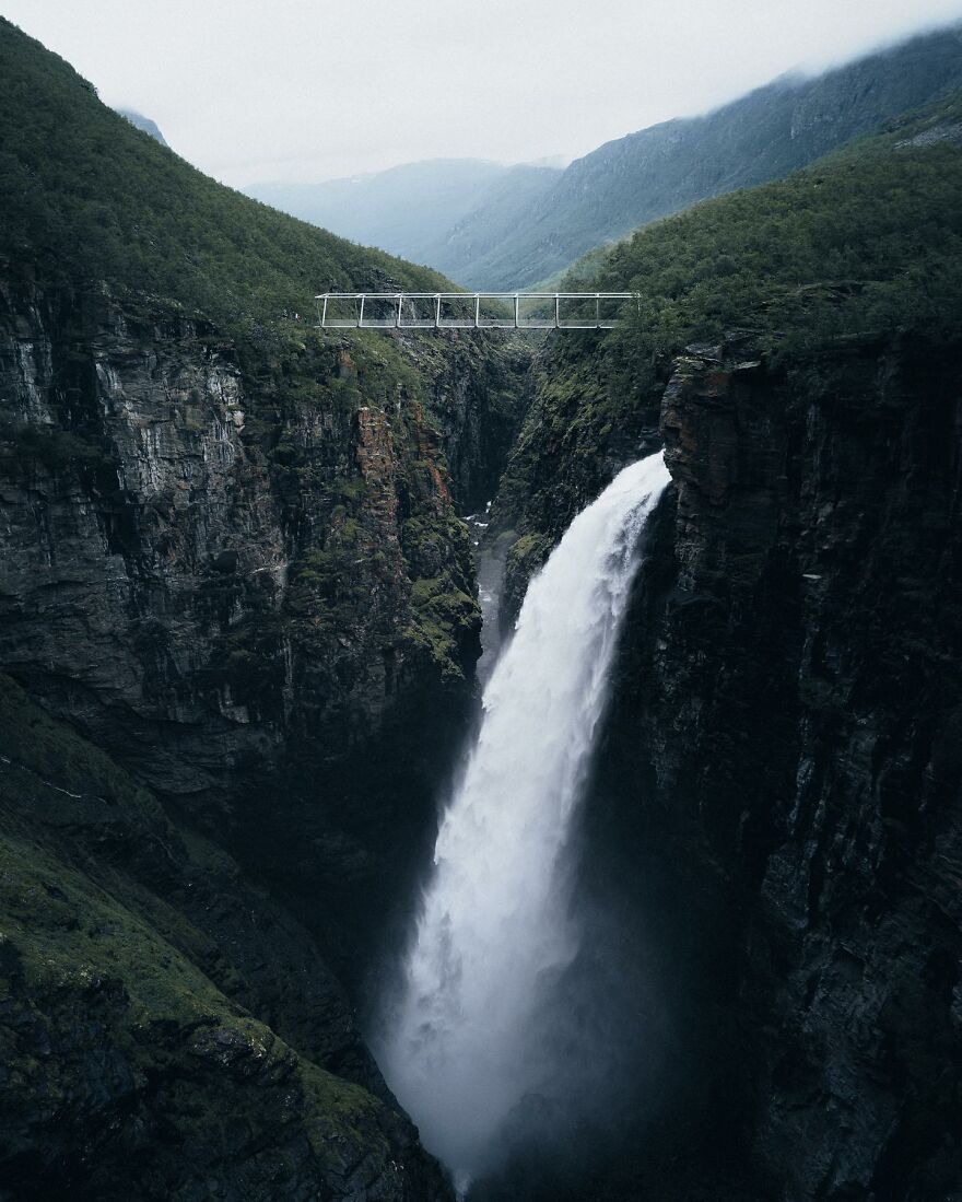 Into The Wild With Daniel Ernst: Capturing Nature's Majesty