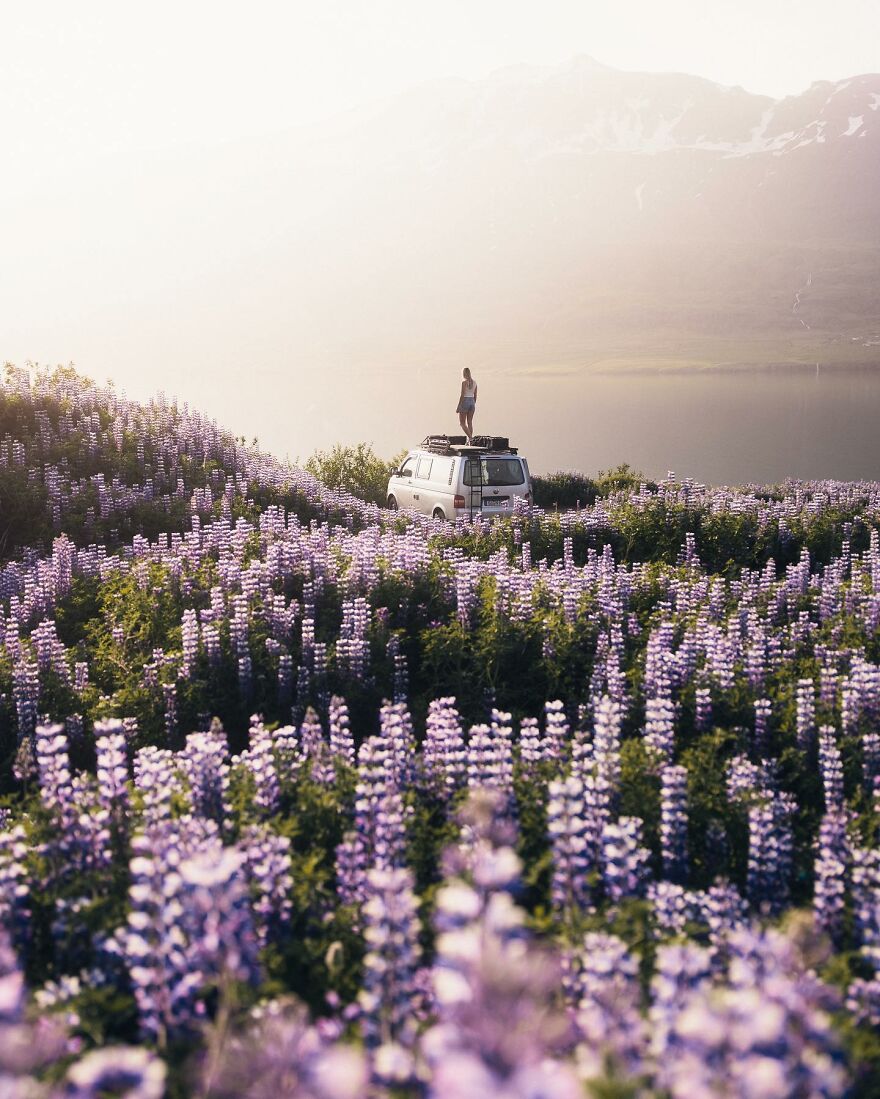 Into The Wild With Daniel Ernst: Capturing Nature's Majesty