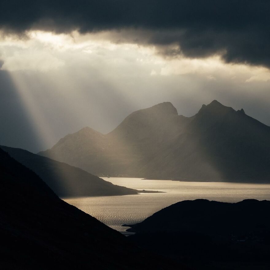 Into The Wild With Daniel Ernst: Capturing Nature's Majesty