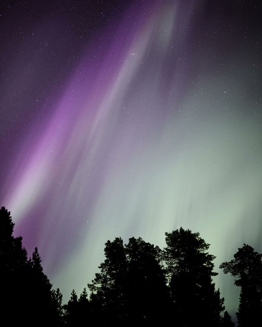 Into The Wild With Daniel Ernst: Capturing Nature's Majesty