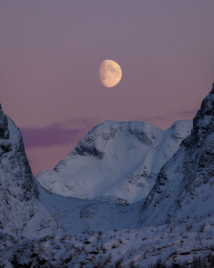 Into The Wild With Daniel Ernst: Capturing Nature's Majesty