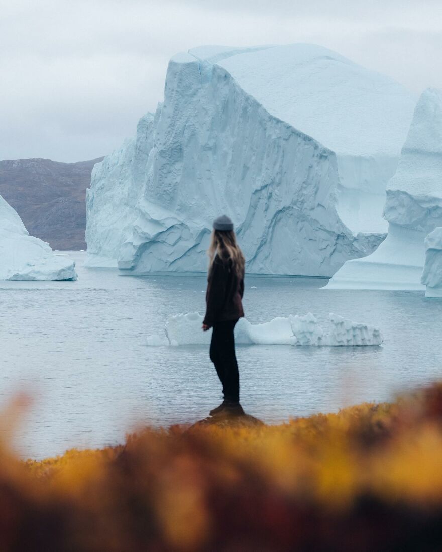 Into The Wild With Daniel Ernst: Capturing Nature's Majesty