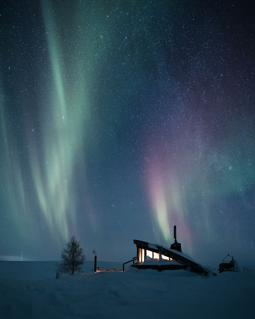 Into The Wild With Daniel Ernst: Capturing Nature's Majesty