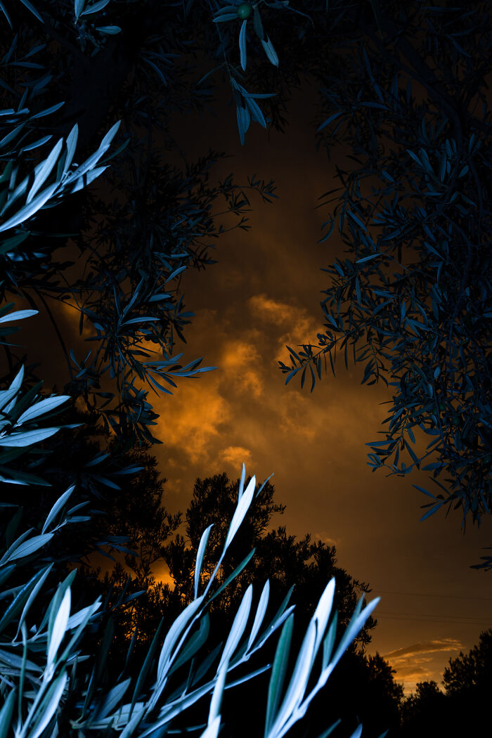 My Dream Of Publishing My Own Photography Book Is Almost A Reality! My Dream Of Publishing My Own Photography Book Is Almost A Reality!