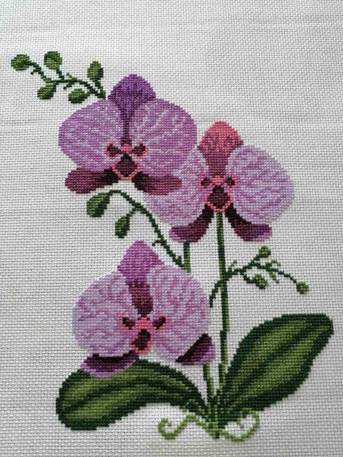 My Gift For Cross-Stitch Lovers (11 Pics)