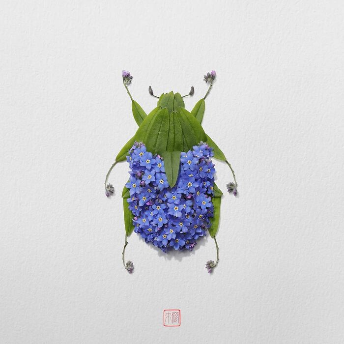 Nature's Palette: Raku Inoue's Delightful Animal Portraits Blossom With Creativity (New Pics)